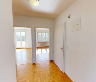 3 Zimmer, 59 m², 2. Stock - Photo 6