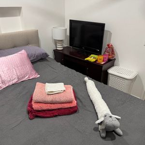 Hampton Park - Photo 2