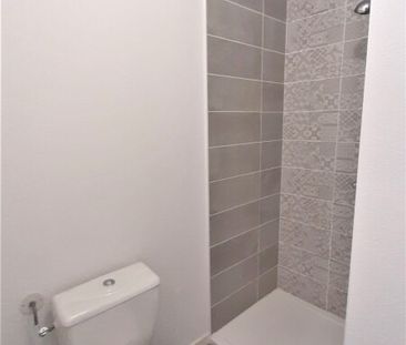 Location Appartement 1 pièce 19m² AUZEVILLE TOLOSANE 31320 - Photo 6