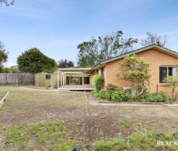 41 Gallagher Street, Kambah ACT 2902 - House For Rent | Domain - Photo 4