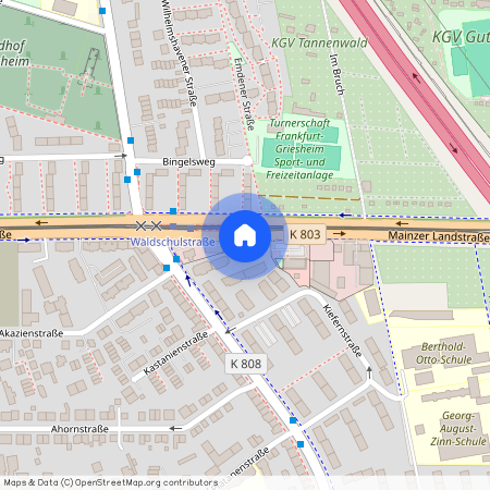 Mainzer Landstraße 539, 65933, Frankfurt Am Main