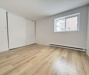 Appartement 4 ½ à louer Lévis décembre 2025 - Photo 2