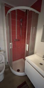 Location Appartement 1 pièce 14m² GRENOBLE 38000 - Photo 4