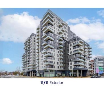 2 Beds 1 Bath - Apartment - Photo 3