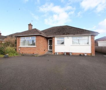 16 Woodford Park, Newtownabbey, BT36 6TJ - Photo 6