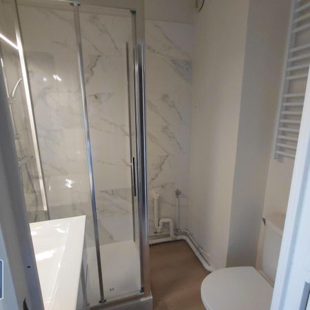 Location Appartement 1 pièce 14m² LIMOGES 87000 - Photo 3