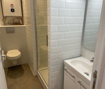 Superbe studio situé rue Solférino – QUARTIER SAINT MICHEL réf G520 - Photo 3