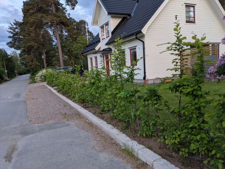 Bergsbrunna villaväg, Uppsala - Foto 4