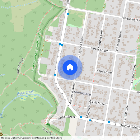 31 Fitzgerald Street, NSW 2782, Wentworth Falls