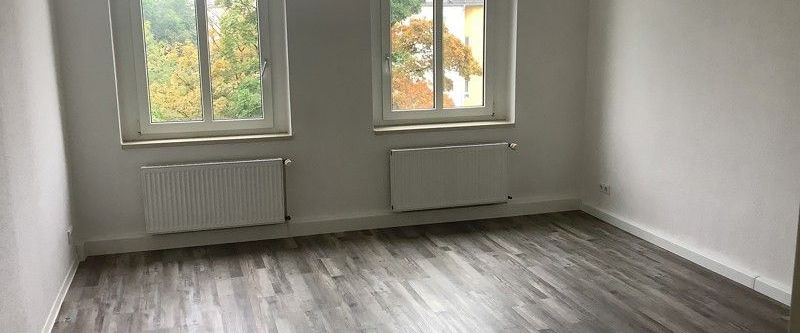 Frisch sanierte 3-Raum-Wohnung zu vermieten - Photo 1