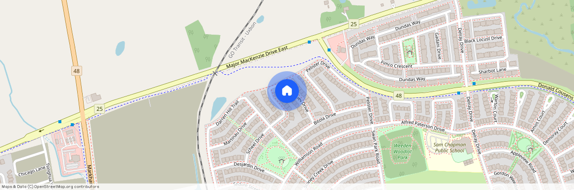 45 Dame Gruev Drive, Markham