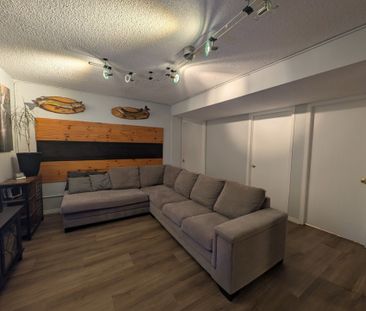 For Lease - 64 Athabaska Road Unit# Lower, Barrie, Ontario - Photo 4