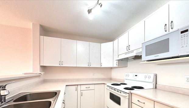 Cambridge Court - Photo 1