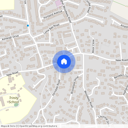 New Road, St. Margarets New Road, TQ14