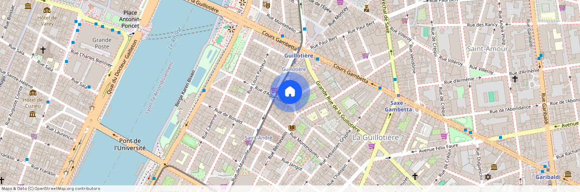 6 RUE BECHEVELIN, LYON 7EME ARRONDISSEMENT Saint-Michel