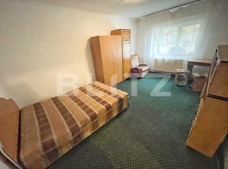 Garsoniera pet friendly, decomandata, 50 mp, Rovine, zona parculet - Fotografie 2