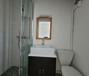 Location Appartement 1 pièce 21m² VALENCIENNES 59300 - Photo 6