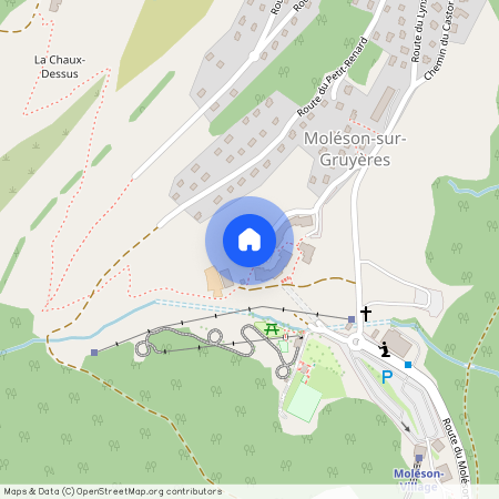 Route du Lézard 29, 1663 Moléson-sur-Gruyères, Suisse