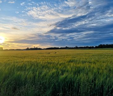 Talby: Ljus härlig trea i lantlig miljö - Foto 2