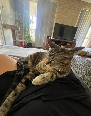 Sanctuary Point - Photo 1