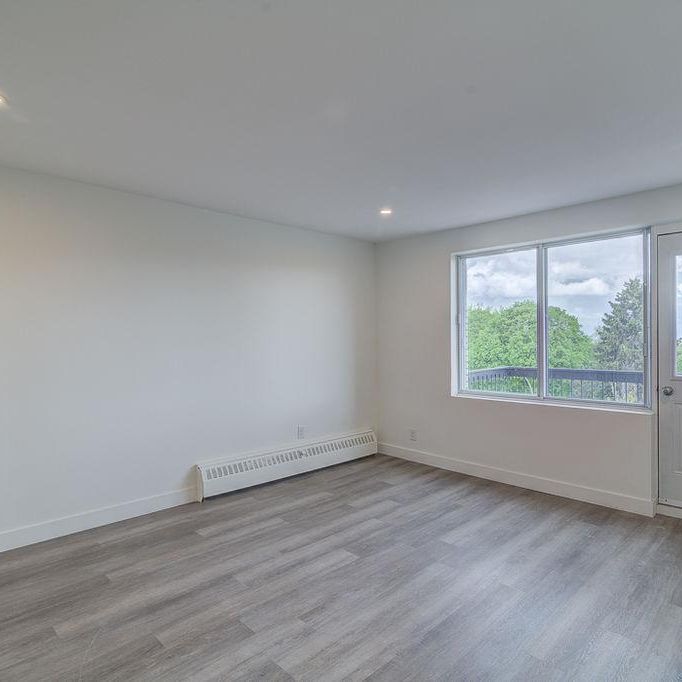 Studio Apartments Available - A louer • For Rent - Photo 1
