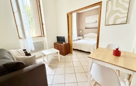 Location Appartement P1 Appartement T1 Meublé rénové(e) Roquemaure - Photo 5