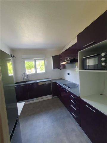 3 pièces - Meublé - 59,54 m² - RDC - Colocation autorisée - Photo 4