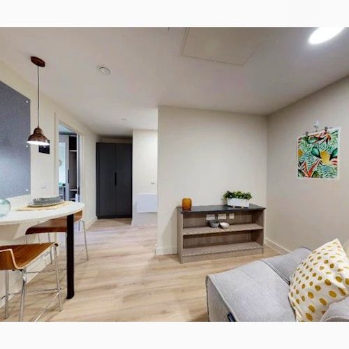 Standard Studio / Standard Plus Studio - Photo 1