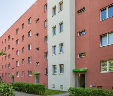 Hier lässt es sich gut leben! - Foto 1