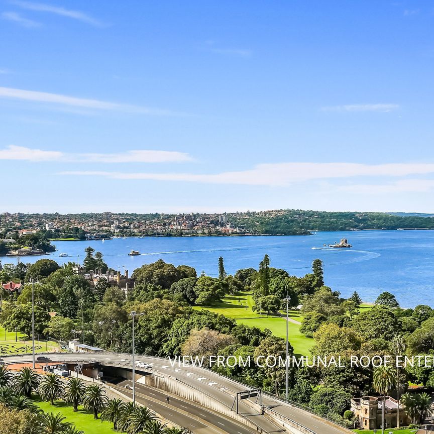 604/123 Macquarie St, Sydney NSW 2000 - Apartment For Rent | Domain - Photo 1