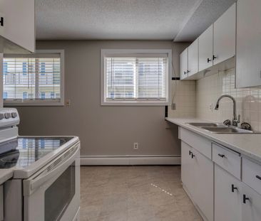 1 Bedroom - Photo 3