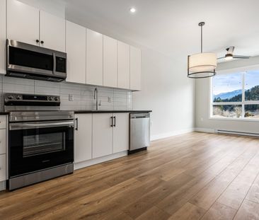 MCGILL - 309 - MG309 - Photo 3