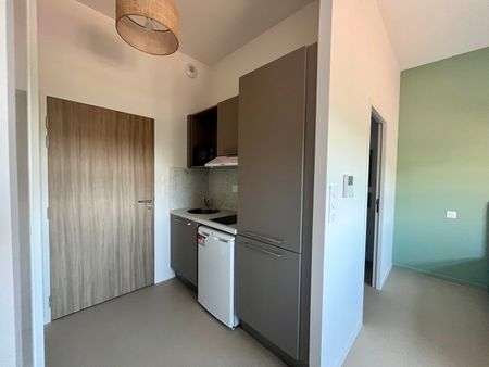 Location Appartement 1 pièce 18m² ALBI 81000 - Photo 3