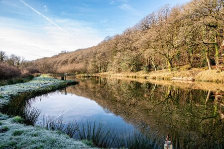 Higher Eworthy Farm Germansweek - Photo 5