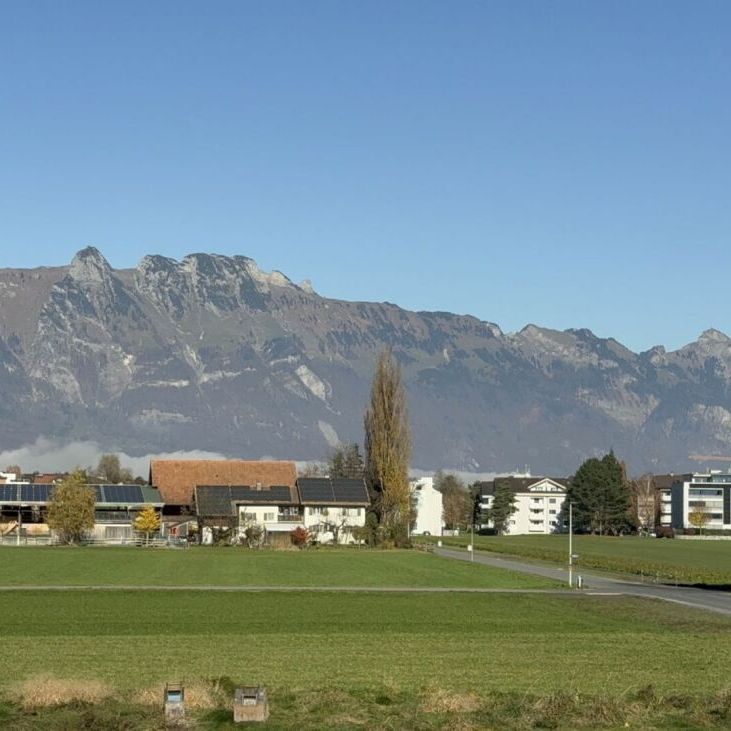 Living like in a terraced house - spacious 5.5-room apartment - Foto 1