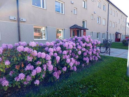 Köpmangatan 3 C - Photo 5