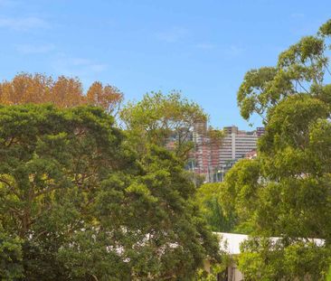 301/76 Roslyn Gardens Elizabeth Bay - Photo 5