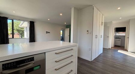 3 BEDROOMS, 1 BATHROOM, 2 HEATPUMPS, 4 CAR GARAGE - Photo 2