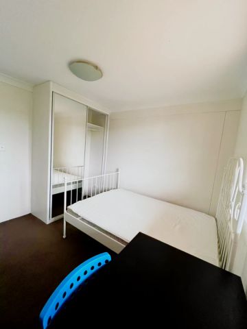 3 bed 2 bath-35 - Photo 3