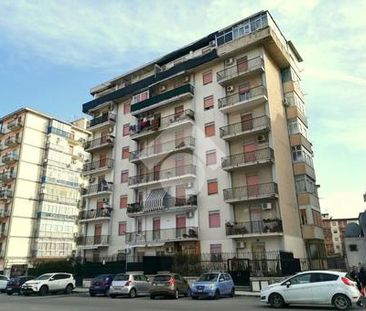Trilocale in affitto - Photo 2