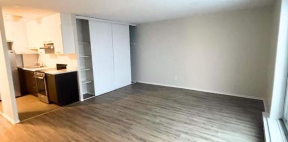1 CH - 1 SDB - Gatineau - $1,245 /mo - Photo 2