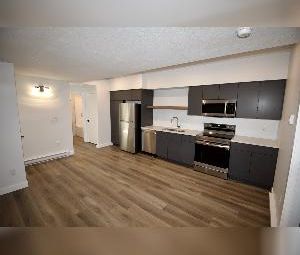 2 Bed 1 Bath Suite Ottewell Home For Rent Edmonton - Photo 6