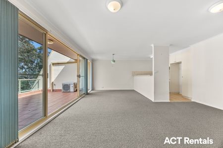 16/51 Leahy Close, Narrabundah ACT 2604 - Apartment For Rent | Domain - Photo 2