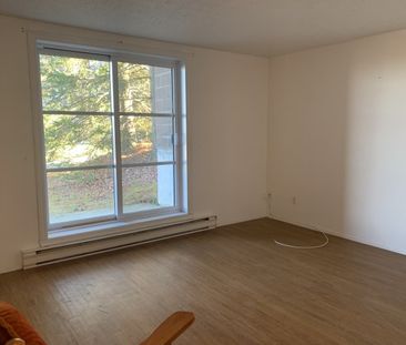 2060-210 RUE GAUTHIER TRÈS BEAU LOGEMENT 4 1/2 DISPONIBLE - Photo 3