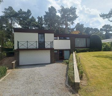 Instapklare woning op een zeer rustige locatie in het groen met 3 s... - Photo 4