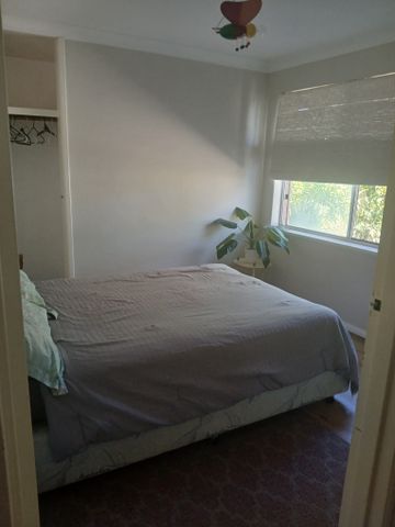 Rockingham - Photo 4