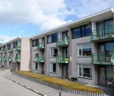 Appartement avec ascenseur, Brugchelencamp 62, De Westereen - À Louer - Foto 1