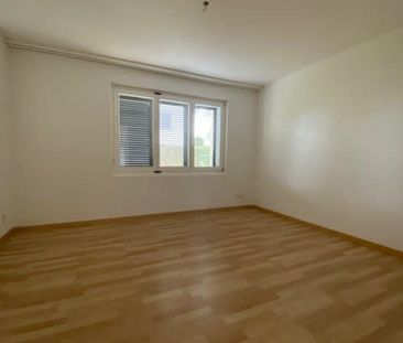 2.5 Zimmer, EG - Photo 4