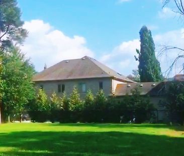 For Lease - 55 Proctor Avenue Unit# Basement, Markham, Ontario - Photo 6