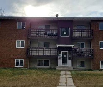 3 Bedrooms,large apartment! Amazing Location! Close to U of C! - Photo 4